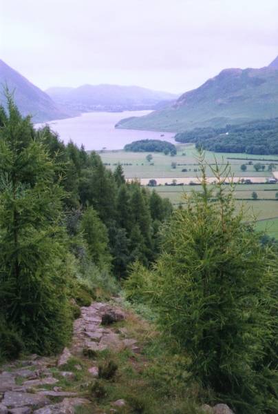 Crummock Water from Burntness Wood
