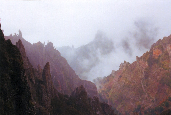 Mist in the mountains of Madeira