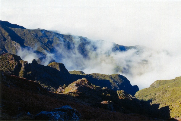 Landscape of Madeira (taken at 5500ft)