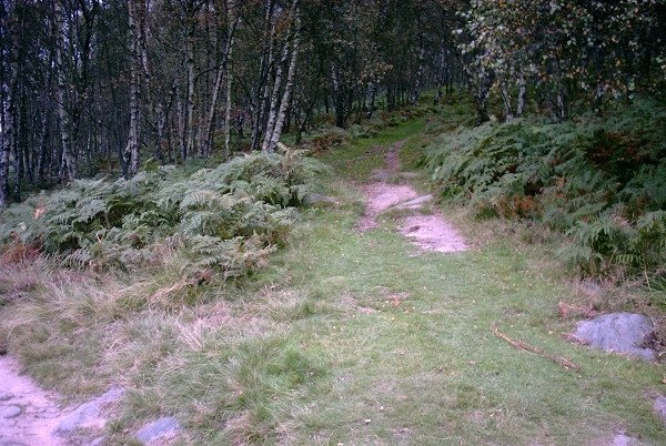 Path to Birchen Edge
