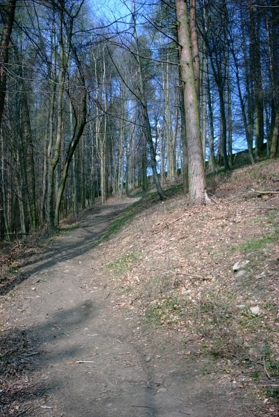 Dunge Wood near Hathersage