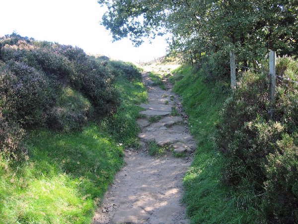 Path to Stanton Moor